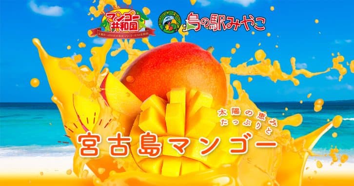 宮古島産マンゴー 7kg ¥7,400 302fc07c42328720bcb5b017e2614b