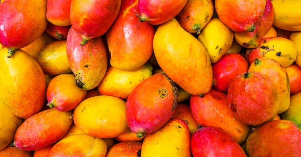 沖縄県の市町村別マンゴー収穫量ランキング ベスト10！