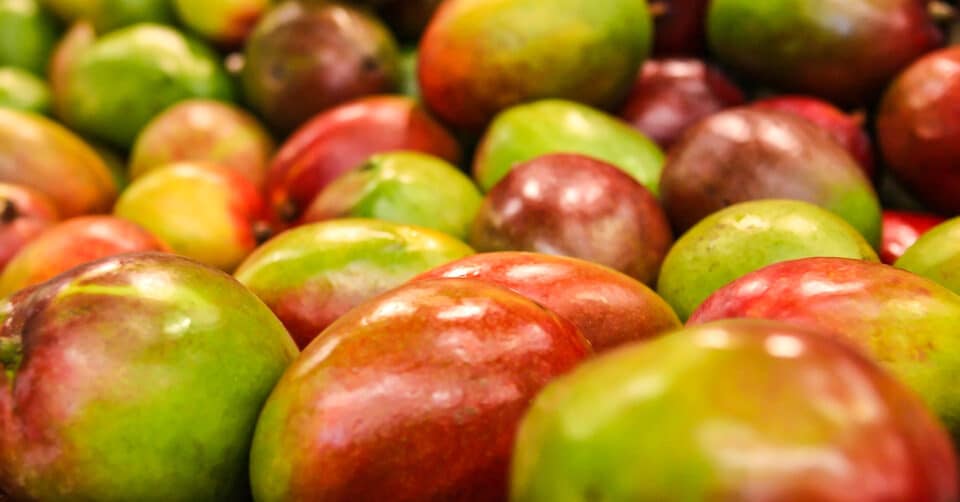 マンゴーが腐るとどうなる？表面が黒ずんだらご用心？ | 宮古島