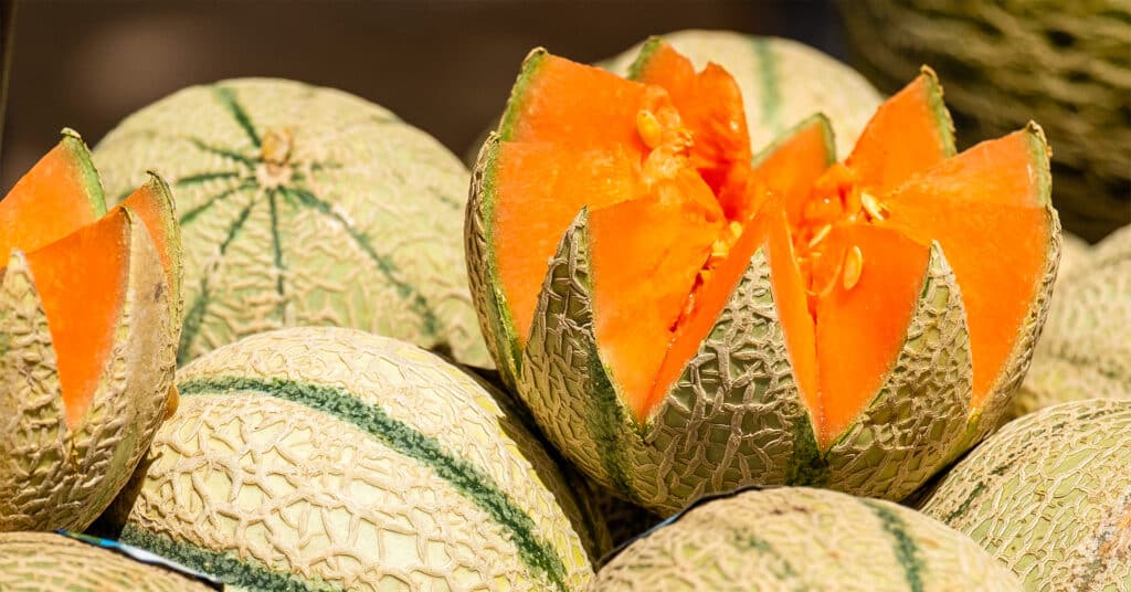 メロンの賞味期限 | 切る前と切った後ではどのくらい変わるの