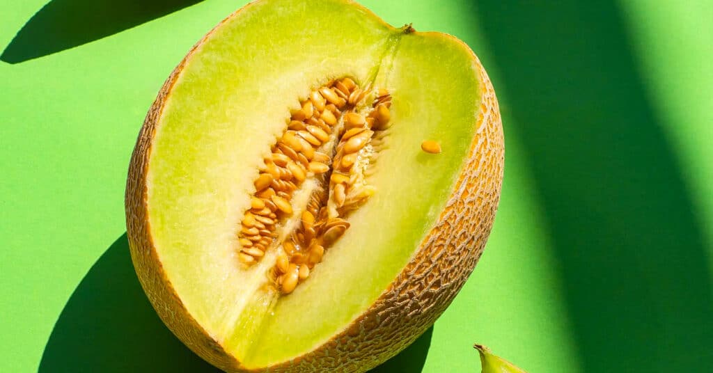 is-a-melon-a-vegetable-or-a-